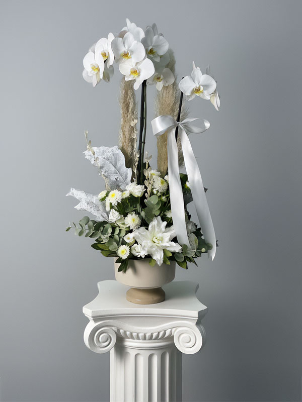 Beyaz Çift Dal Orkide