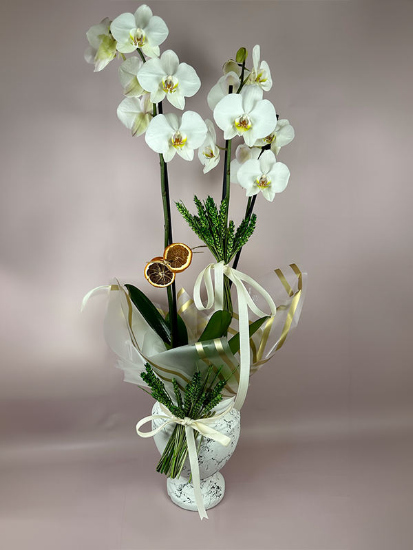 Seramik Vazo Beyaz Çift Dal Orkide