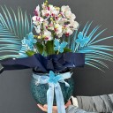 Bella Belissimo Orkide Beyaz