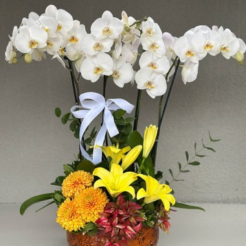 Beyaz Orkide Dizayn Çiçek