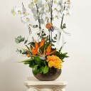 Beyaz Orkide & Turuncu Gül