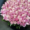 Pink Rose Luxury Dizayn