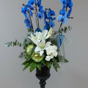 Mavi Orkide Çiçek Aranjman