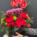 Noi Aranjman Çiçek