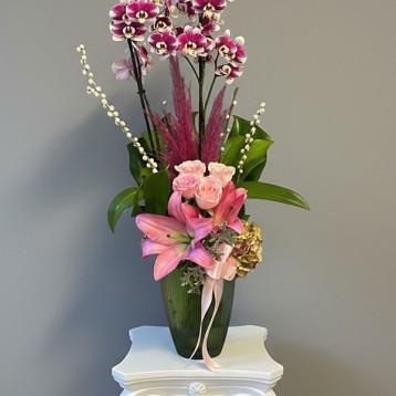 Puantiyeli Orkide Aranjman