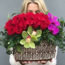 Seramik Vazoda Kırmızı Gül