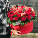 Shay Rose Red Box