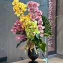 Vazoda Spidyum Orkide