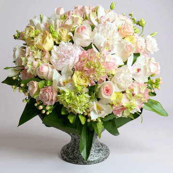 White Pinks Arajman