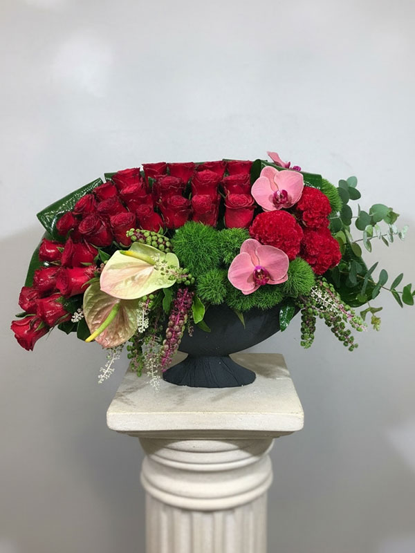 Kırmızı Gül Bahçesi