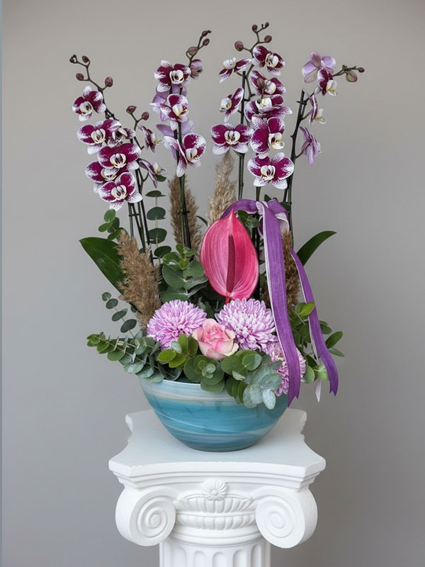 Miner Puantiyeli Orkide