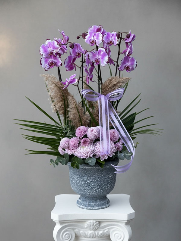 Olive Orkide Aranjman