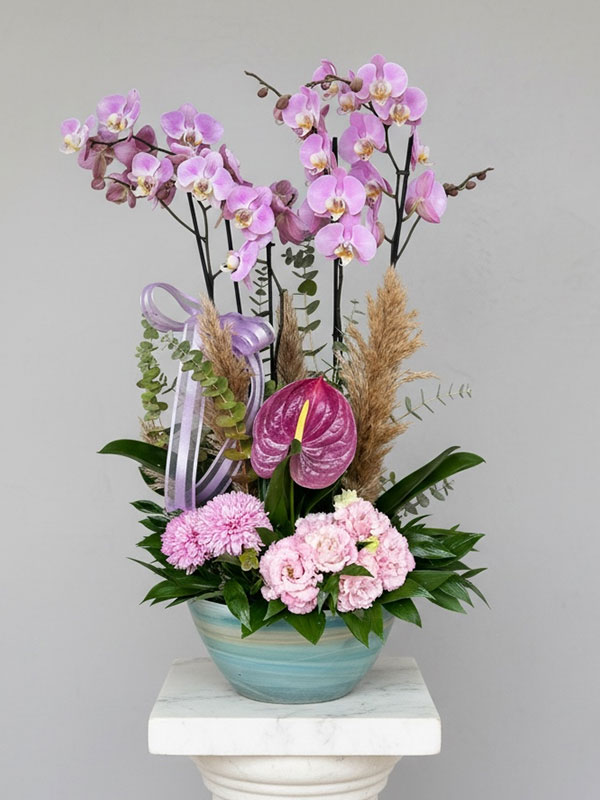 Pembe Orkide Çiçek Dizayn