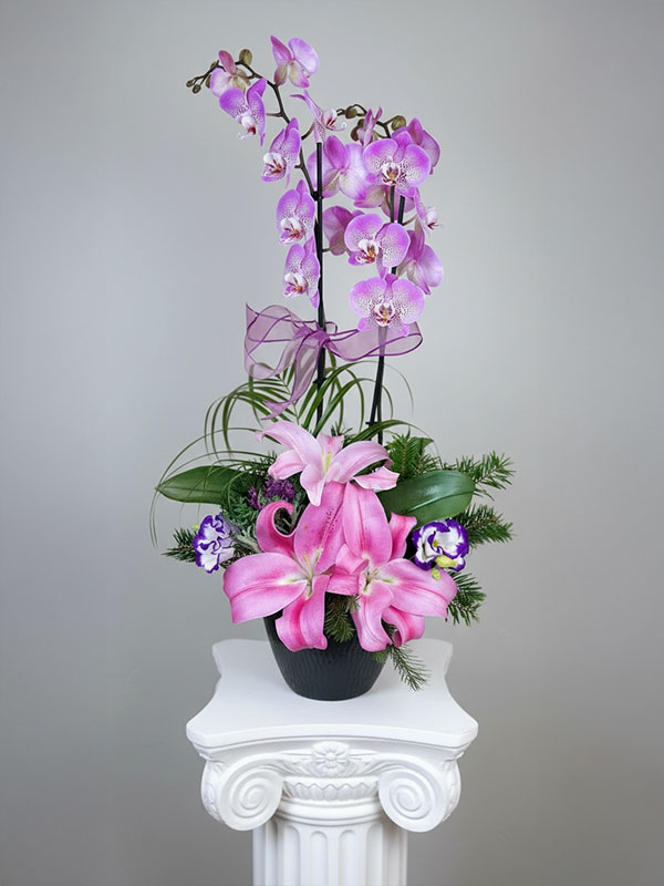Pembe Puantiyeli Orkide Aranjman
