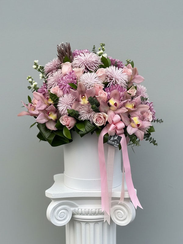 Valencia Kutu Aranjman