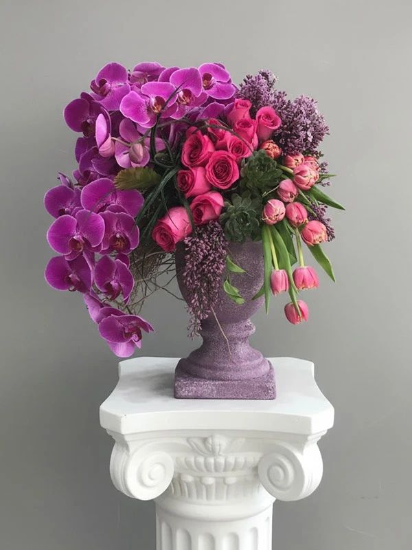 Alice Orkide Aranjman