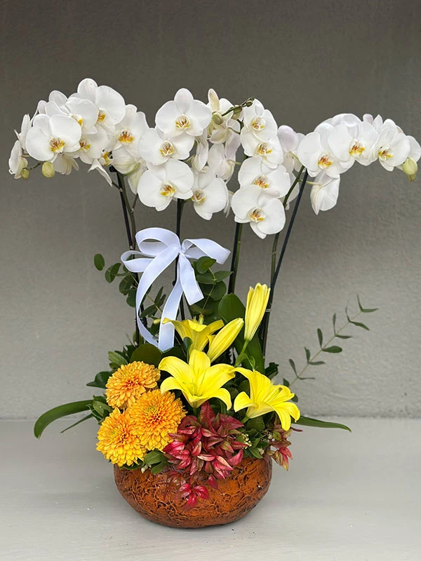 Beyaz Orkide Dizayn Çiçek