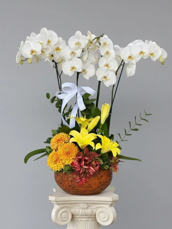 Beyaz Orkide Dizayn Çiçek