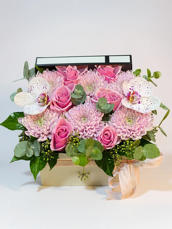 Bonnie Kutu Aranjman