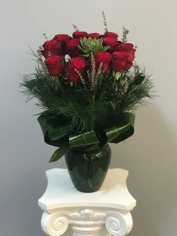 Brandi Kırmızı Gül