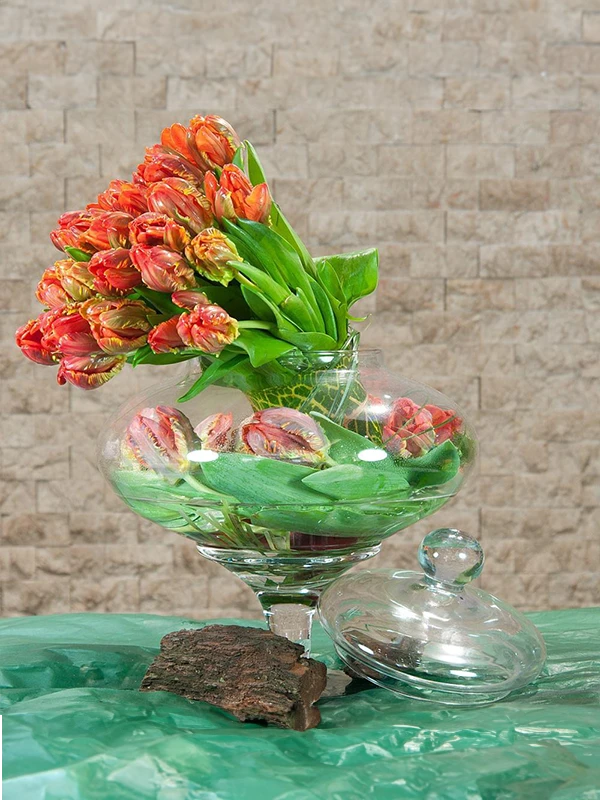 Cam Vazoda Turuncu Lale