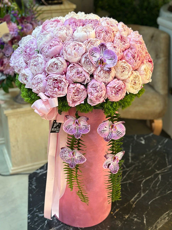 Premium Kutu pembe şakayık