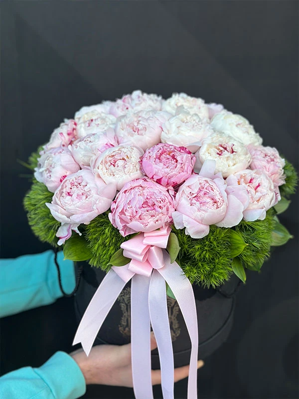 Kutuda Şakayık Çiçeği