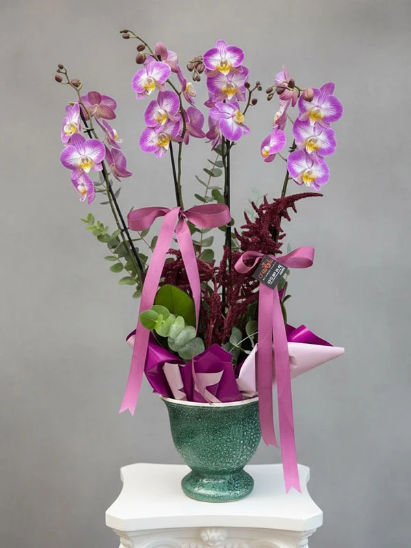 Lidya Orkide Çiçek
