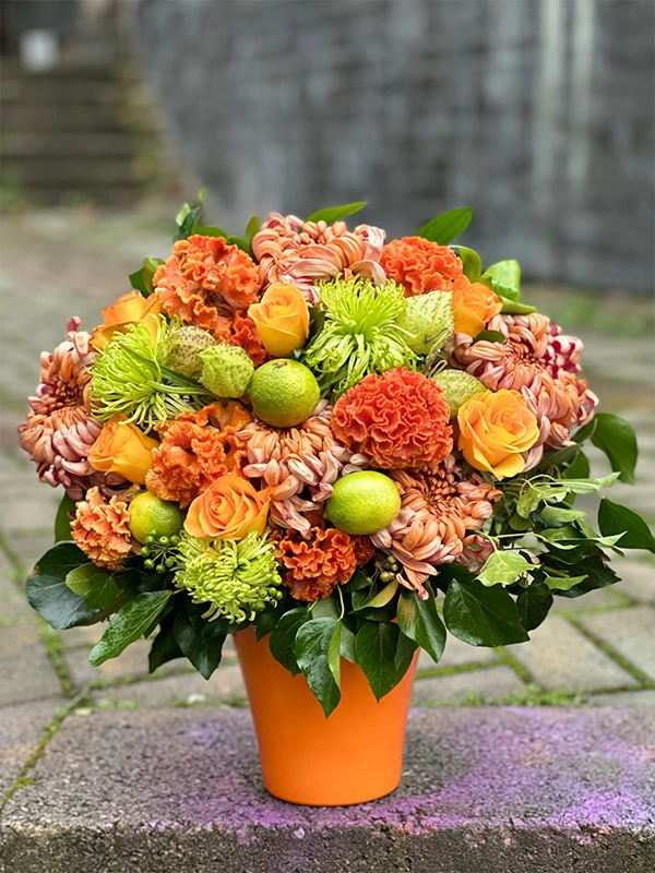 Maya Orange Aranjman