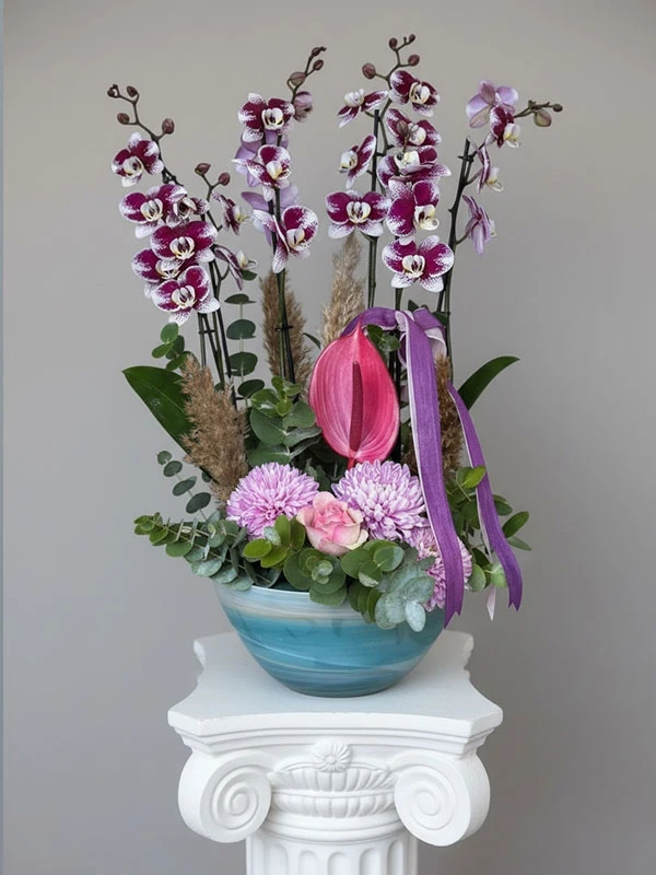 Miner Puantiyeli Orkide