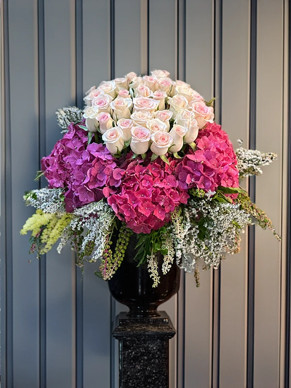 Ekvator Pembe Aranjman