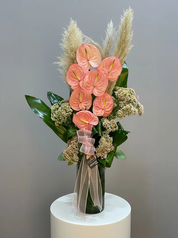 Pembe Antoryum Dizayn