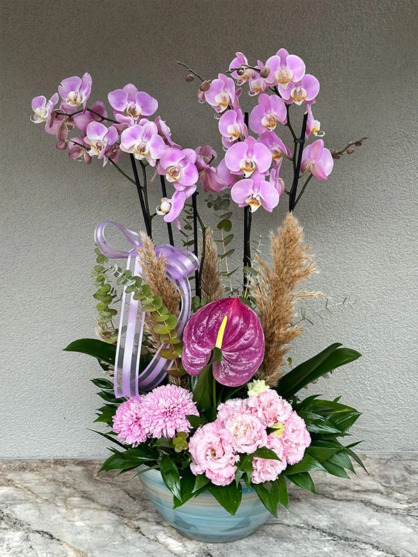 Pembe Orkide Çiçek Dizayn