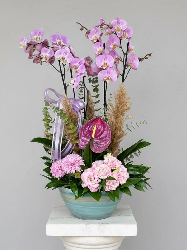 Pembe Orkide Çiçek Dizayn