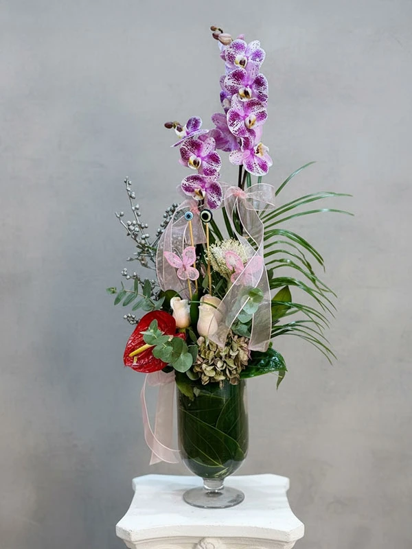 Siba Orkide Çiçek