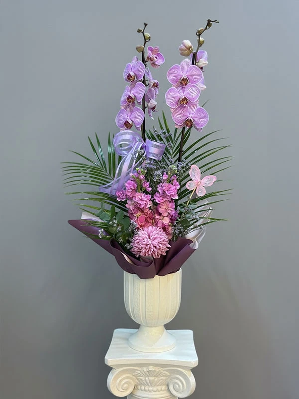 Silviya Orkide Çiçek