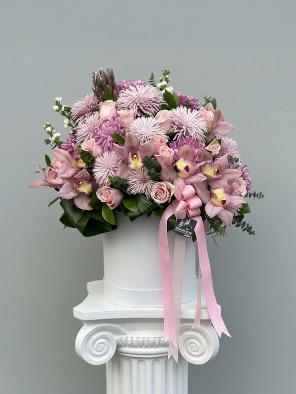 Valencia Kutu Aranjman