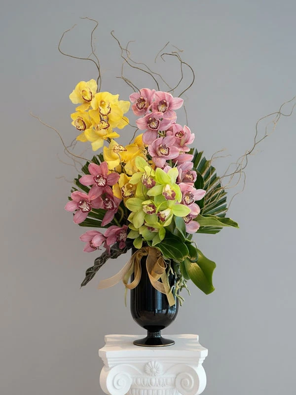 Vazoda Spidyum Orkide