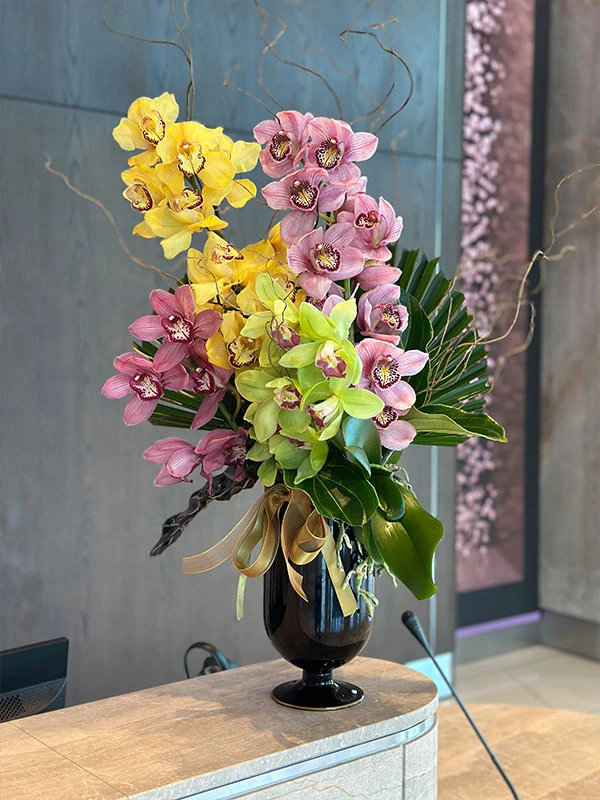 Vazoda Spidyum Orkide