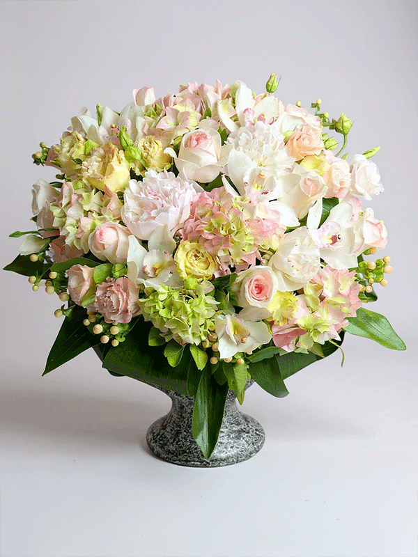 White Pinks Arajman